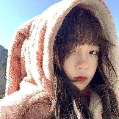 246天天好彩下载手机版