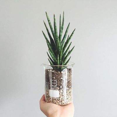 爱体育官方下载手机版